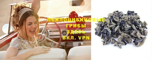 ПСИЛОЦИБИНОВЫЕ ГРИБЫ Алексеевка