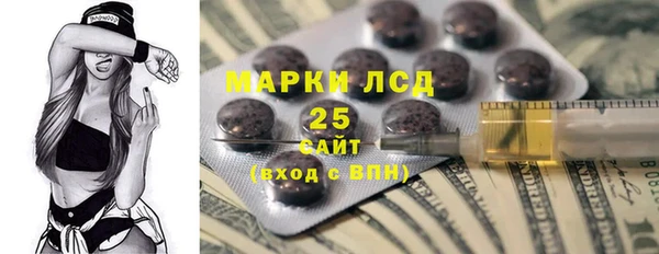 стаф Алзамай