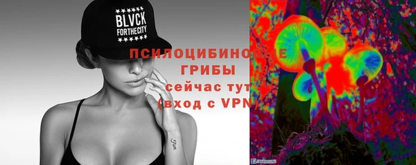 стаф Алзамай