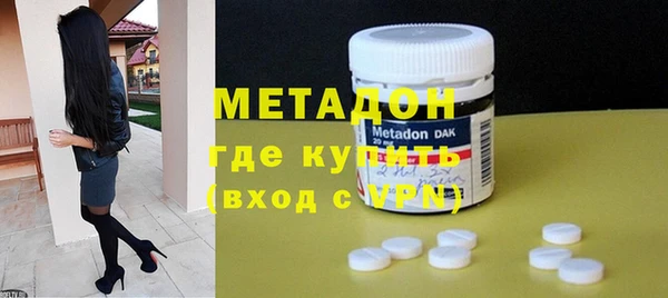 стаф Алзамай