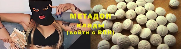 стаф Алзамай