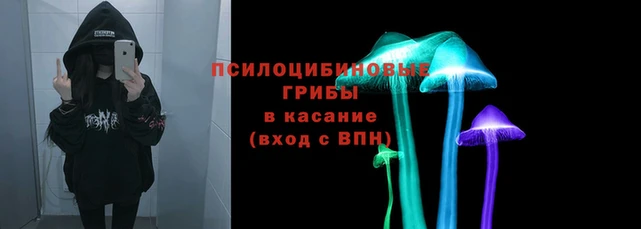 стаф Алзамай
