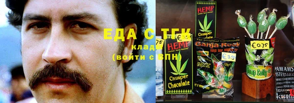 стаф Алзамай