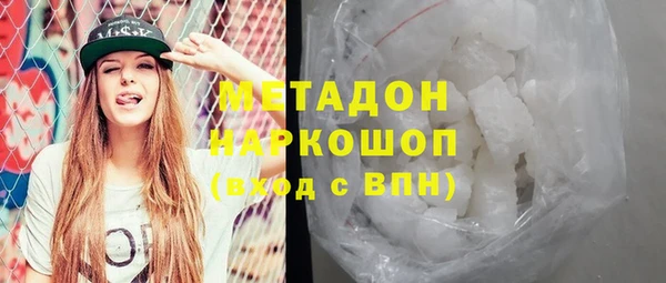 стаф Алзамай