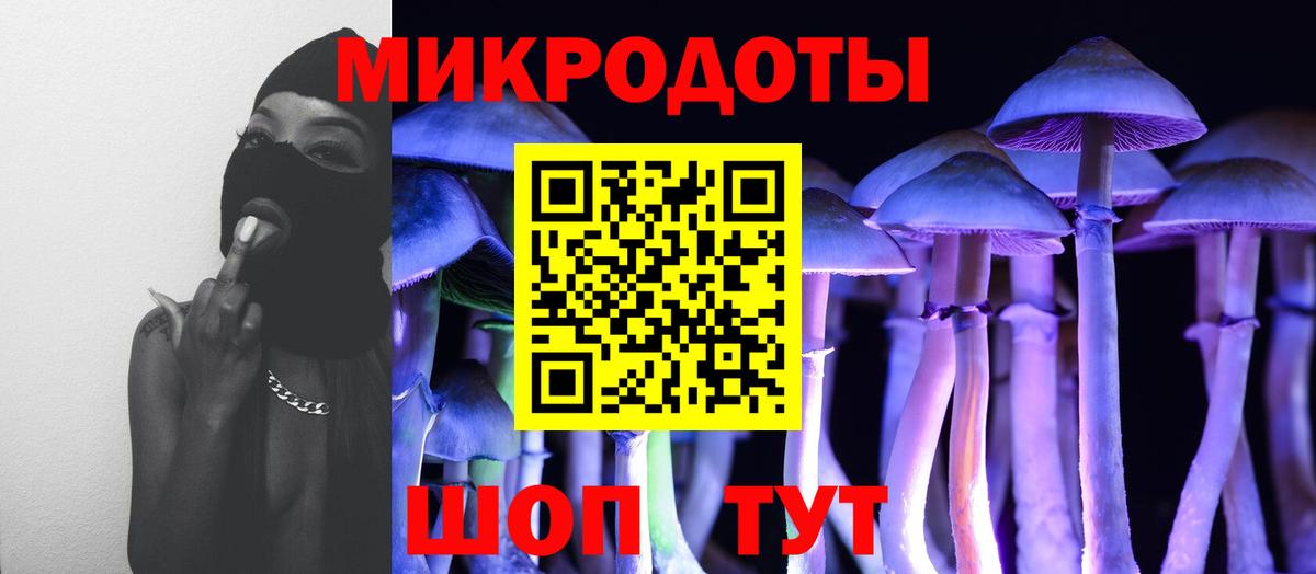 Галлюциногенные грибы Cubensis  Вход с VPN  Коряжма 